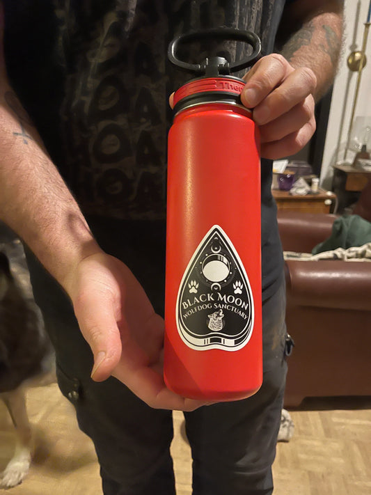 Black Moon Sanctuary Planchette Sticker - Revolutionary Mystic