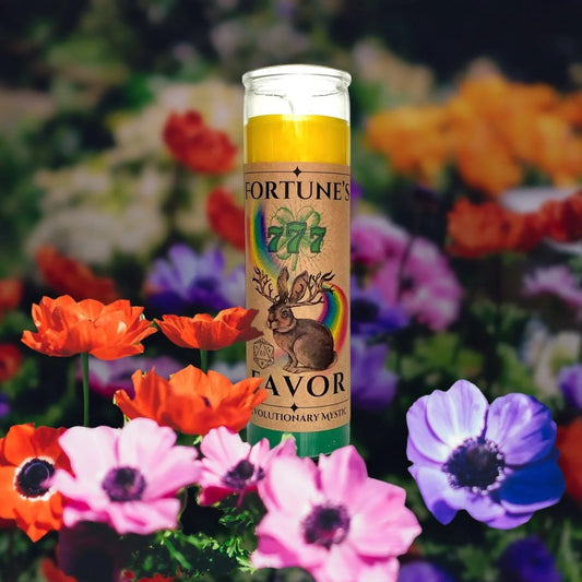 Fortune's Favor Candle - Revolutionary Mystic