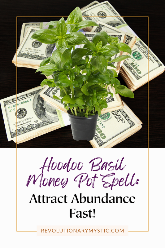 The Magic of Basil: Hoodoo Money Pot Spell - Revolutionary Mystic