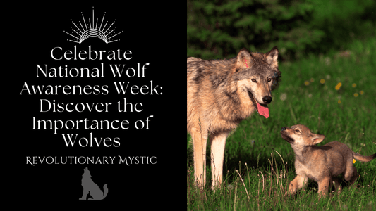 Celebrate National Wolf Awareness Week: Discover the Importance of Wolves - Revolutionary Mystic