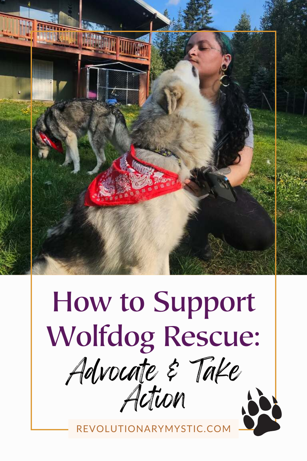 Rescue Howlers: Supporting Wolfdog Rescue - Revolutionary Mystic