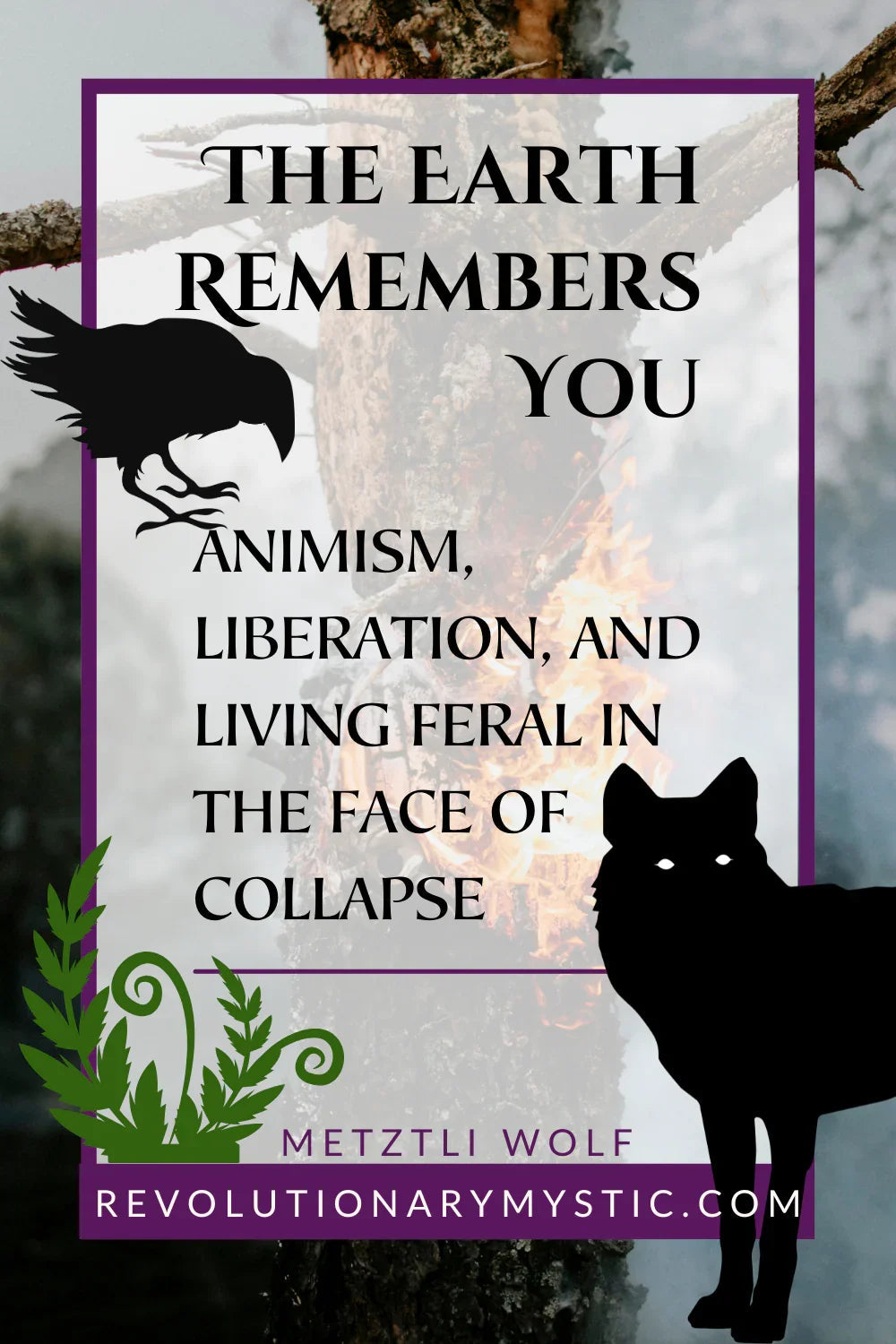 The Earth Remembers You: Animism, Liberation, and Living Feral in the Face of Collapse