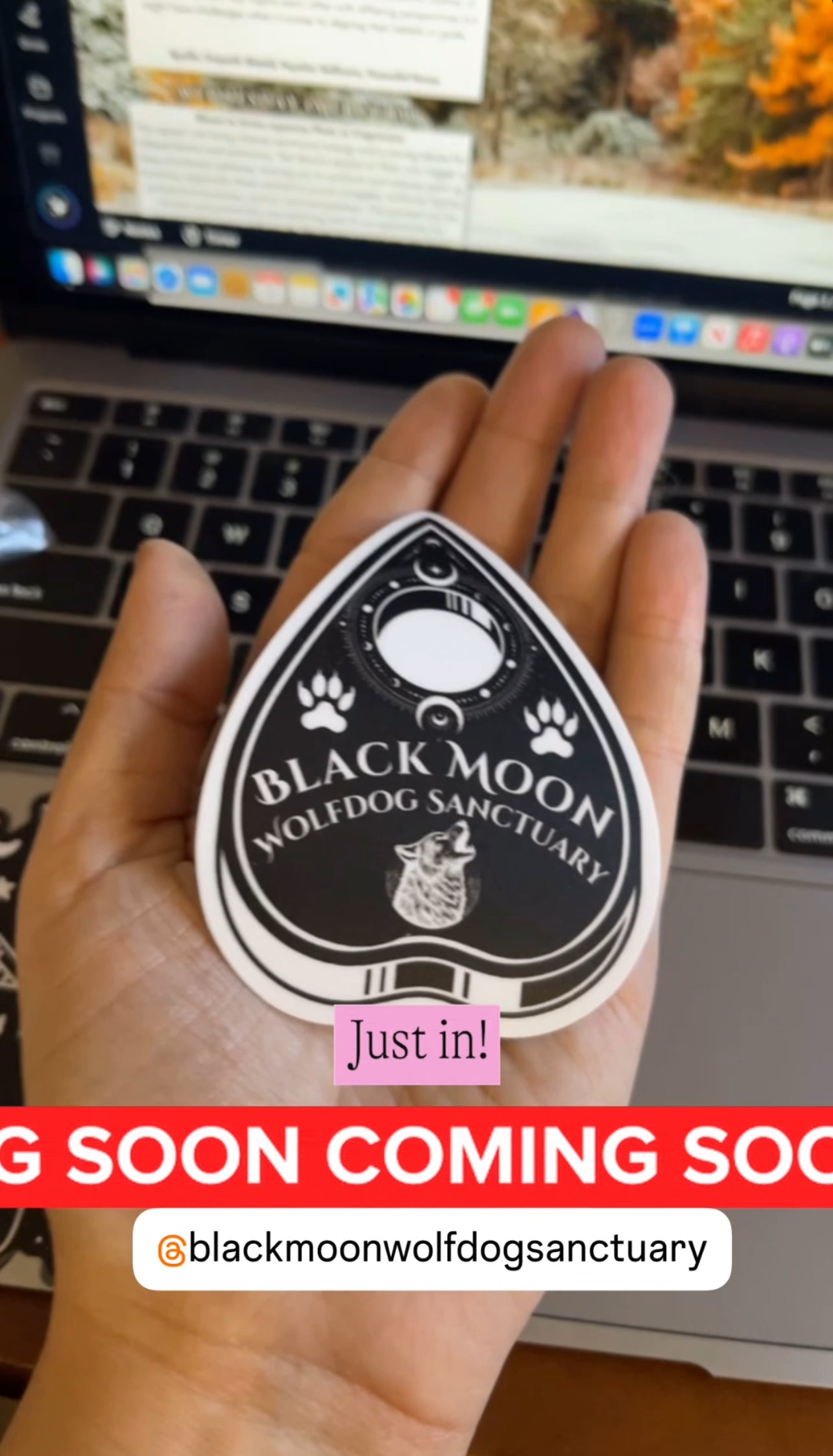 Black Moon Sanctuary Planchette Sticker